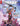 IMAGE CATALOG SEPTEMBER FOR NOVEMBER 2026